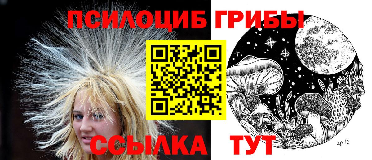 Артём  Галлюциногенные грибы мухоморы  Вход с VPN 